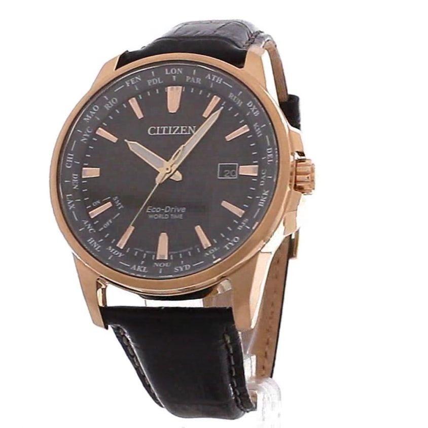 Citizen world time discount perpetual